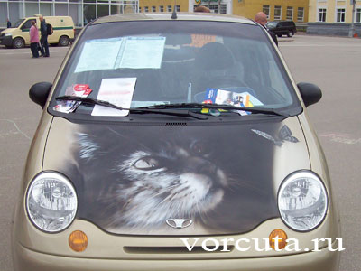 Аэрография на капоте автомобиля: кошка и бабочка